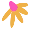 🌼