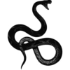 🐍