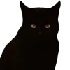 🐈‍⬛