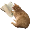 🐱