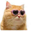 😎