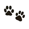 🐾