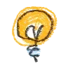 💡