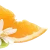 🍹