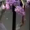⭐