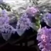 ⭐