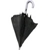 ☂️