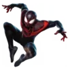 🕸