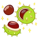 🌰