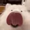 😛