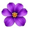 🌸