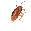 💃