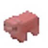 🐽
