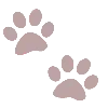 🐾