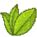 🌱