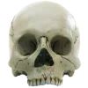 💀