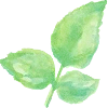🌿