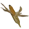🌽