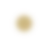 🟡