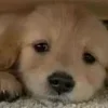 😞