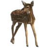 🦌