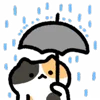 ☔️