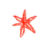 ✴️
