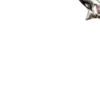 😀