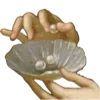 🐚