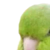💚