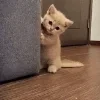 🙂