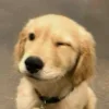 😊