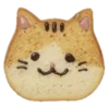 🐱