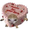 🎂