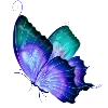 🦋