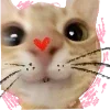 😊