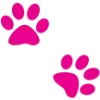🐾