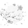🌕
