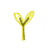 🌱