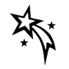 🌟