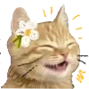 😊