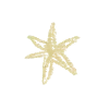 ✴️