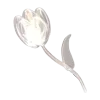 🌷