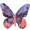 🦋