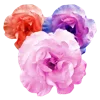 🌸
