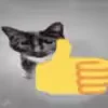🖕