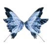 🦋