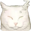 💤