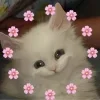 🐈