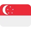 🇸🇬